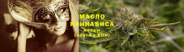 МДПВ Богородск