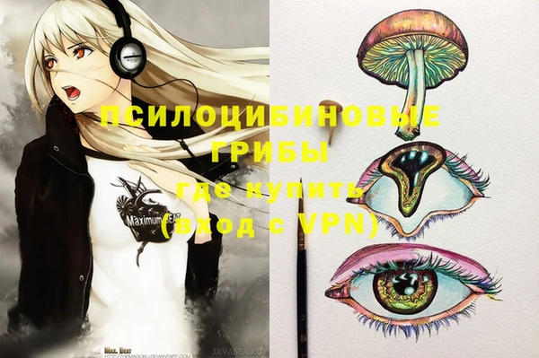 ешки Белокуриха