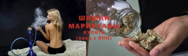 сатива Верхний Тагил