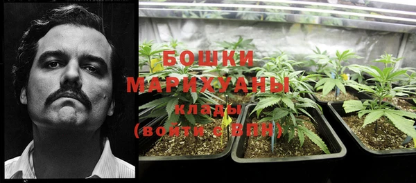 экстази Богданович