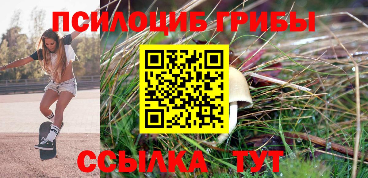 Галлюциногенные грибы мухоморы Воркута