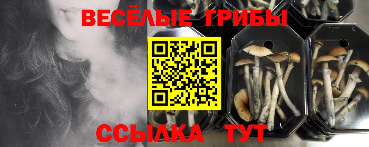 Галлюциногенные грибы Psilocybine cubensis  Вход с VPN  Воркута 